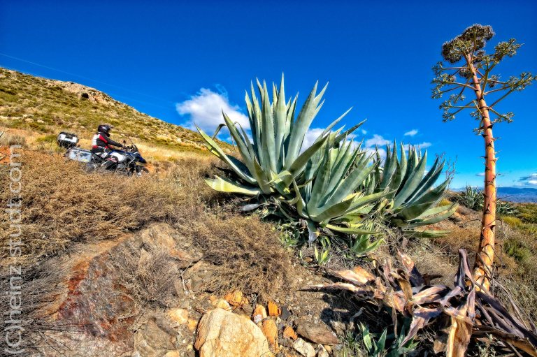 UnterwegsImAbseits_05